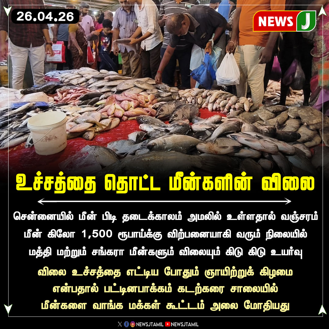 NewsJTamil's tweet image. உச்சத்தை தொட்ட மீன்களின் விலை || NewsJ

#chennai #fish #fishprice #fishmarket #newsj