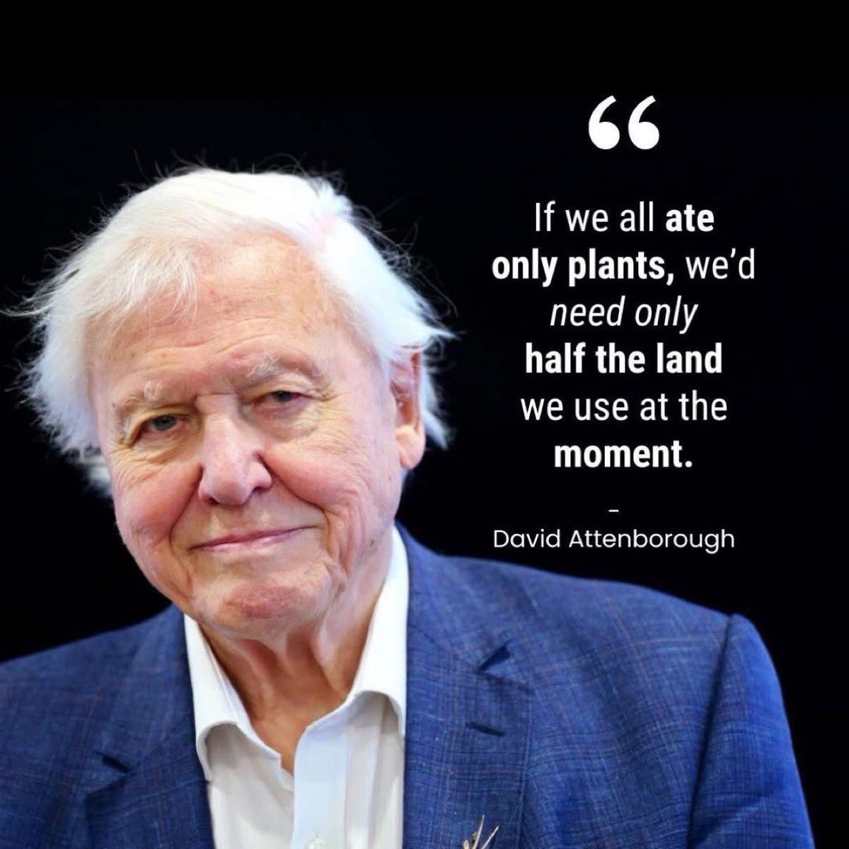 frasier_hal's tweet image. Sir David Attenborough                            

Go #Vegan 🌱 

#plantbased #climatechange #climateaction