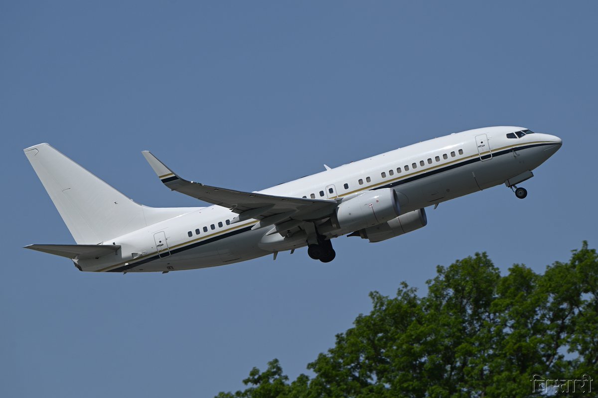 びすた～り tweet media