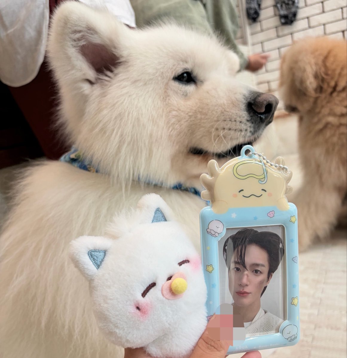 เติมม๋าแบบฟินing ☝🏼🐶💭

#JenoPawtyDay