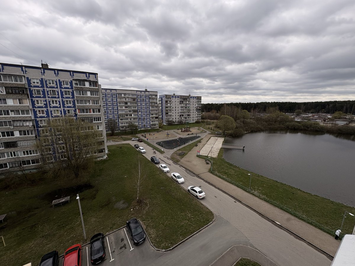 питаврите tweet media