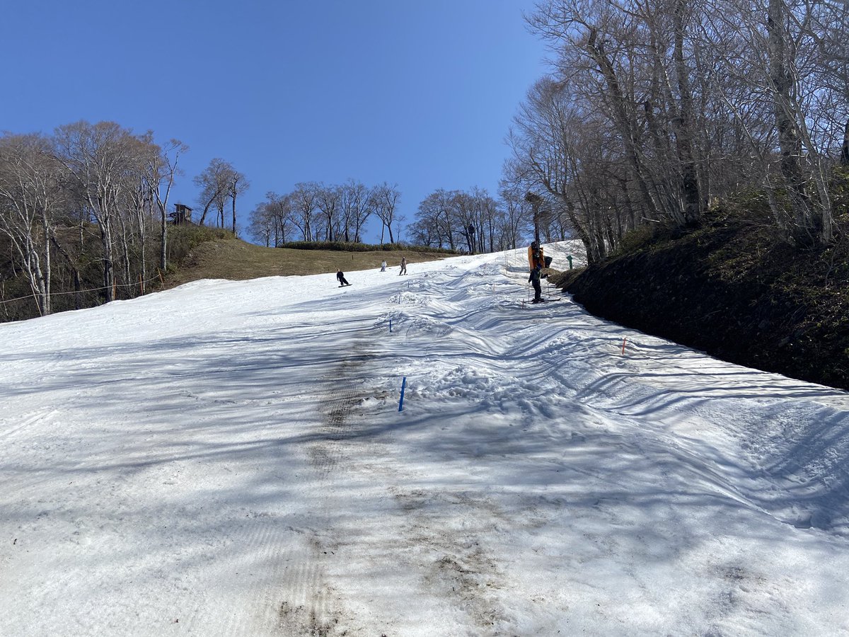 snow_monkey1440's tweet photo. 2025-2026シーズン27日目🎿

先週の教訓を活かし、Tシャツ姿でこまめに水分補給しながらのゆるコブマラソン🏃

だいぶ土も出てきて、もうここのコブは今週で終わりだなあ🥲 https://t.co/XQdfd9XamI