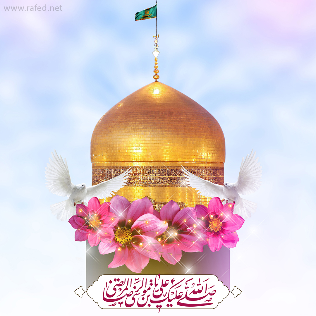 rafednetwork tweet media