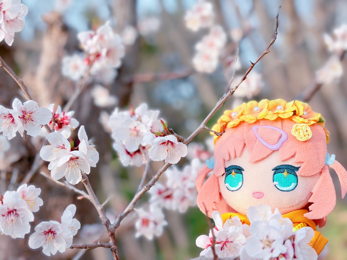 花より団子なのかもしれない