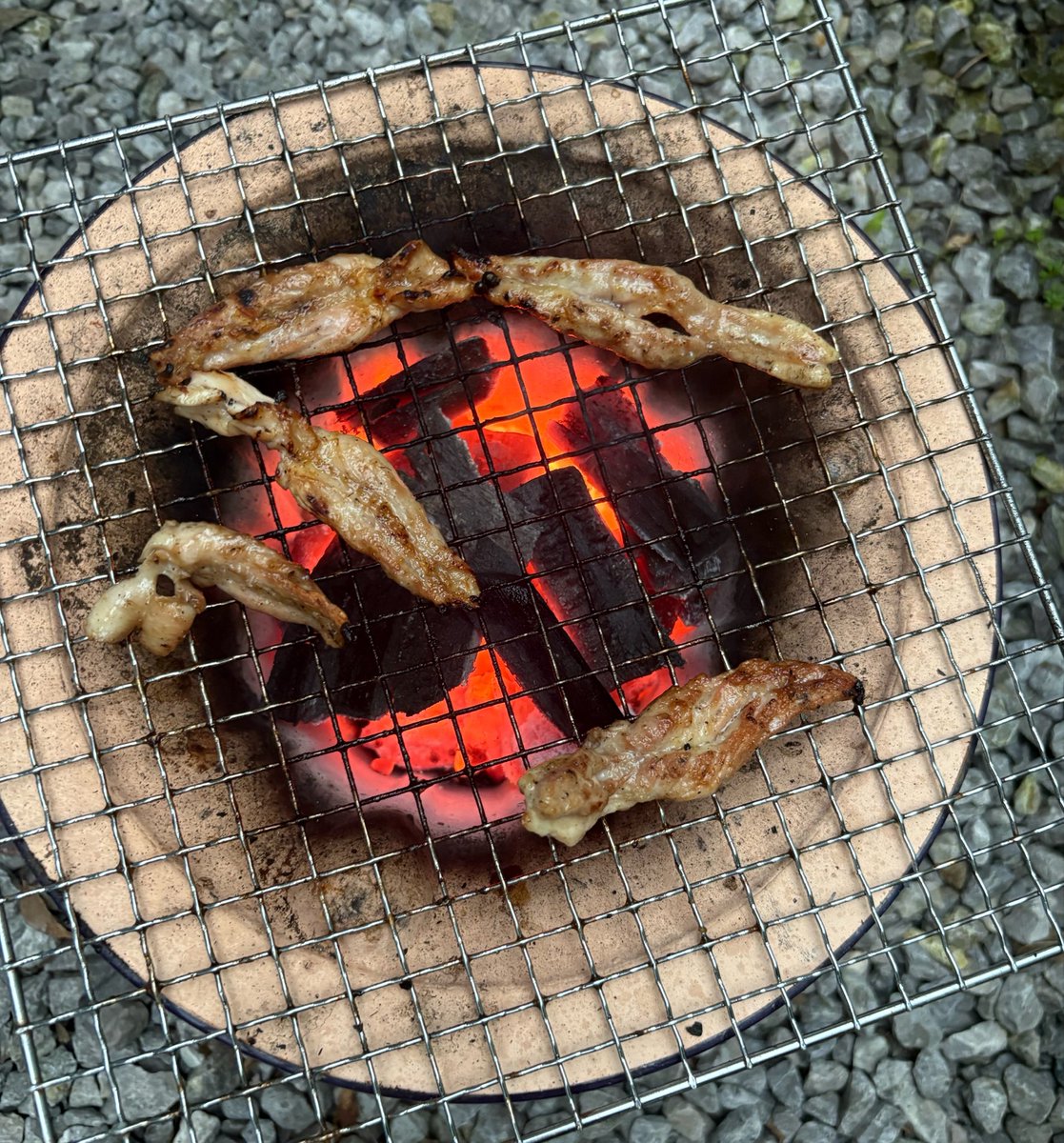 ぴーちゃん🫧ྀི tweet media