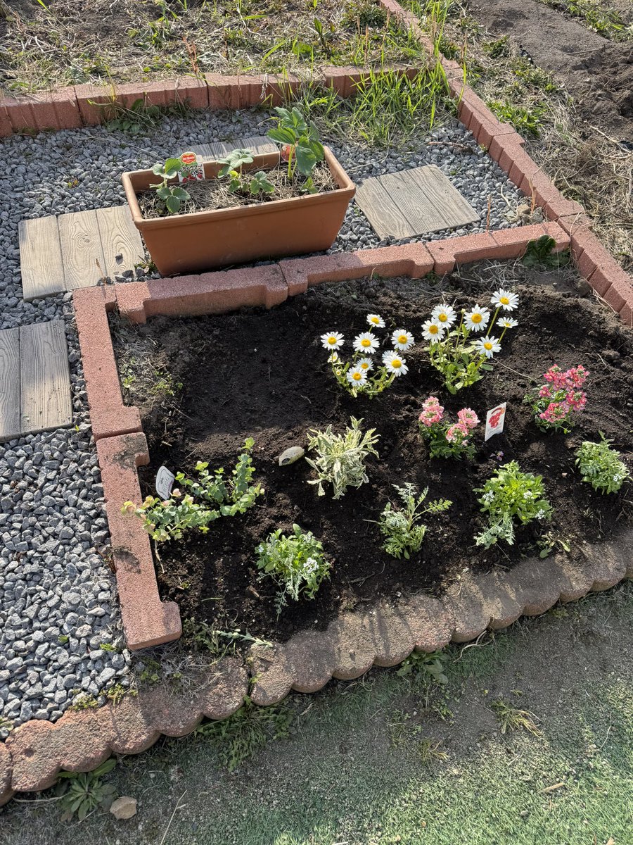 のの子🏍️🔰@5/6 あだぁじょSFC tweet media