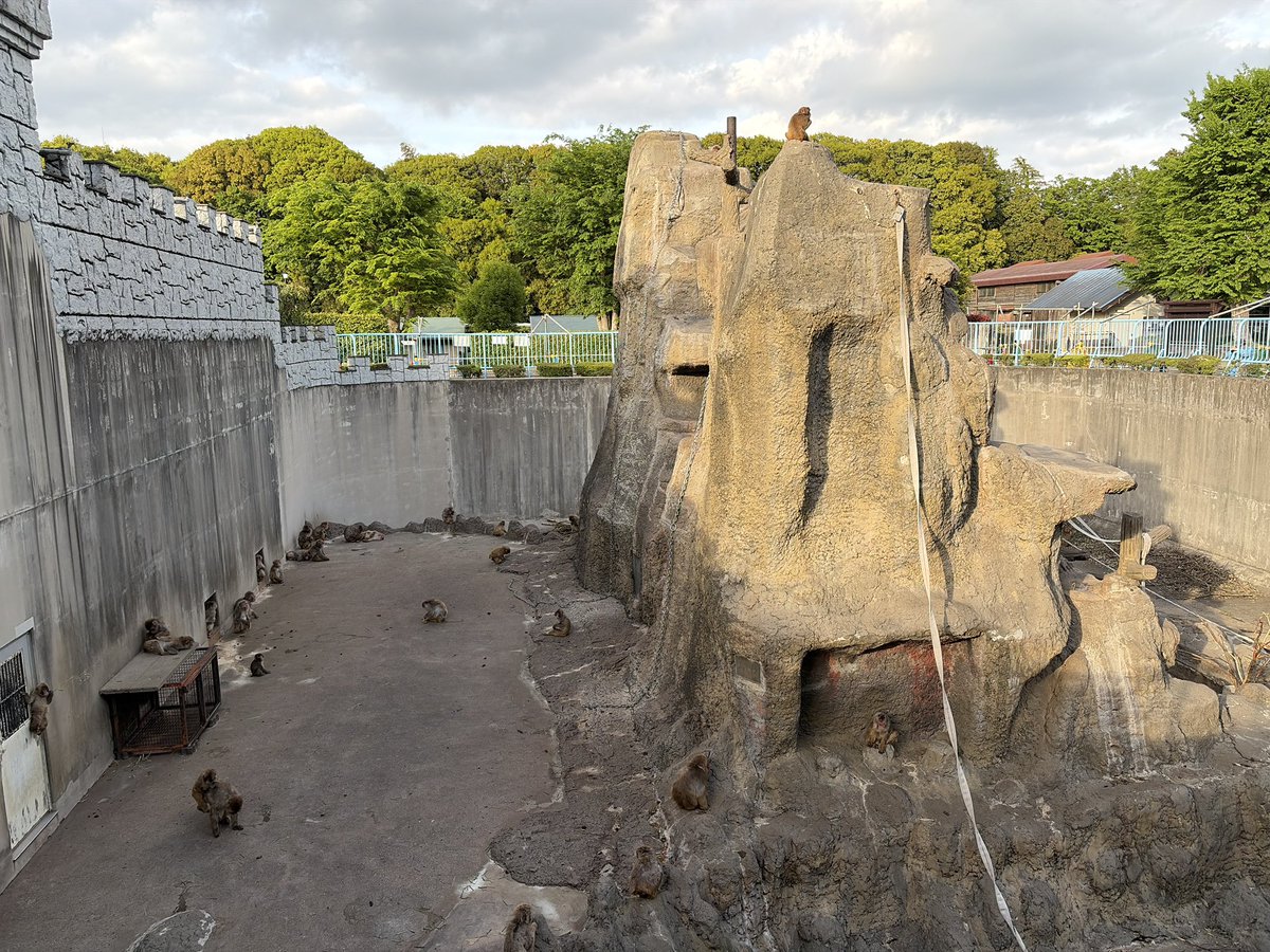 市川市動植物園（公式） tweet media