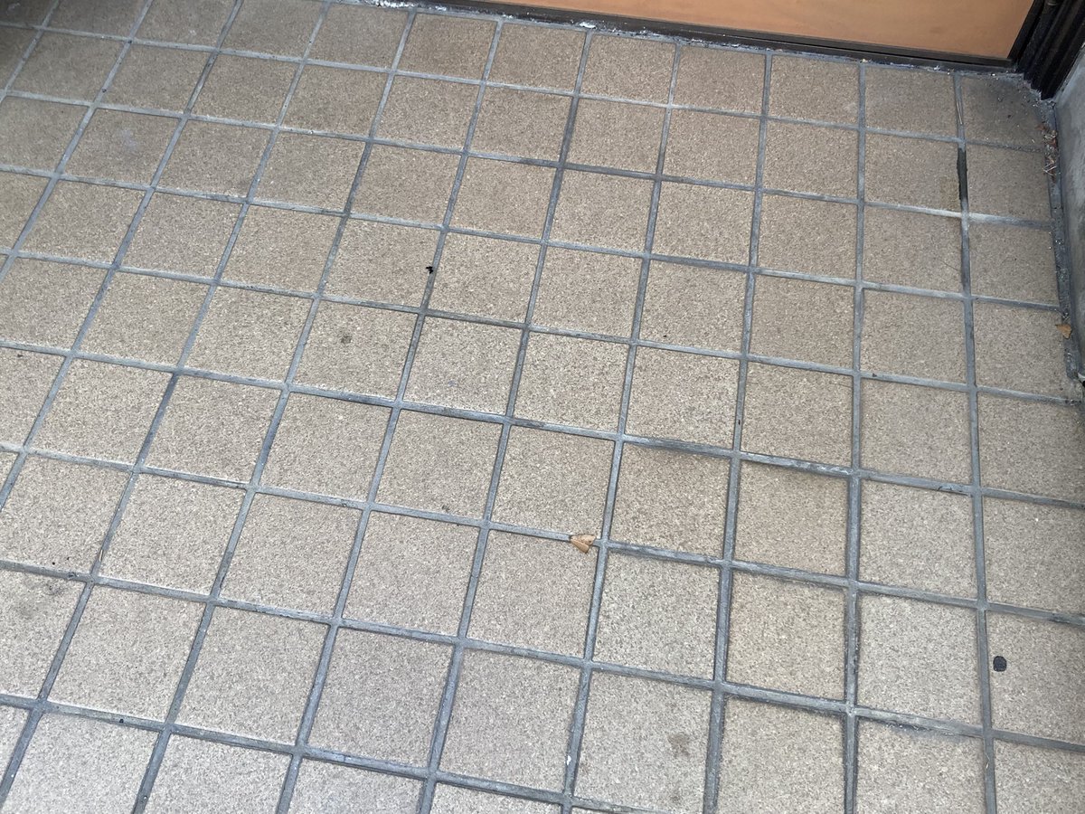 かぶぬしの下僕 tweet media