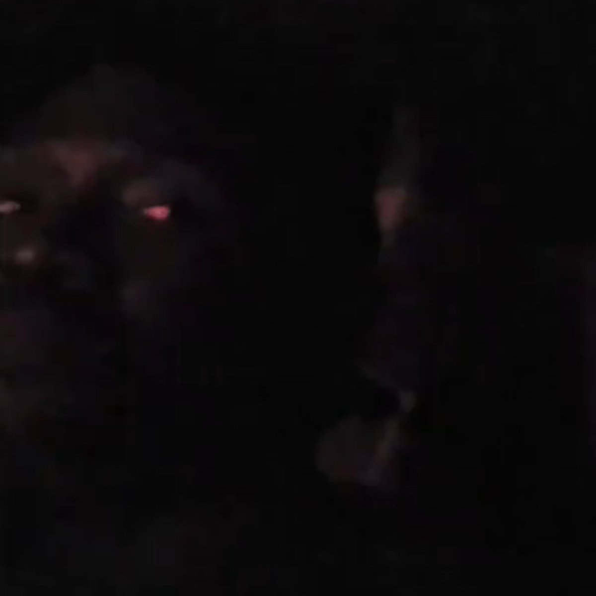 FinalBossXL's tweet image. Uber driver when he heard Hugh ask if he's being set up 😂😂😂😂😂😂😂😂😂😂😂
#fishtanklive #fishtankdotlive #diamond #DiamondTheBarbie @DiamondWallen #kevin #hugh