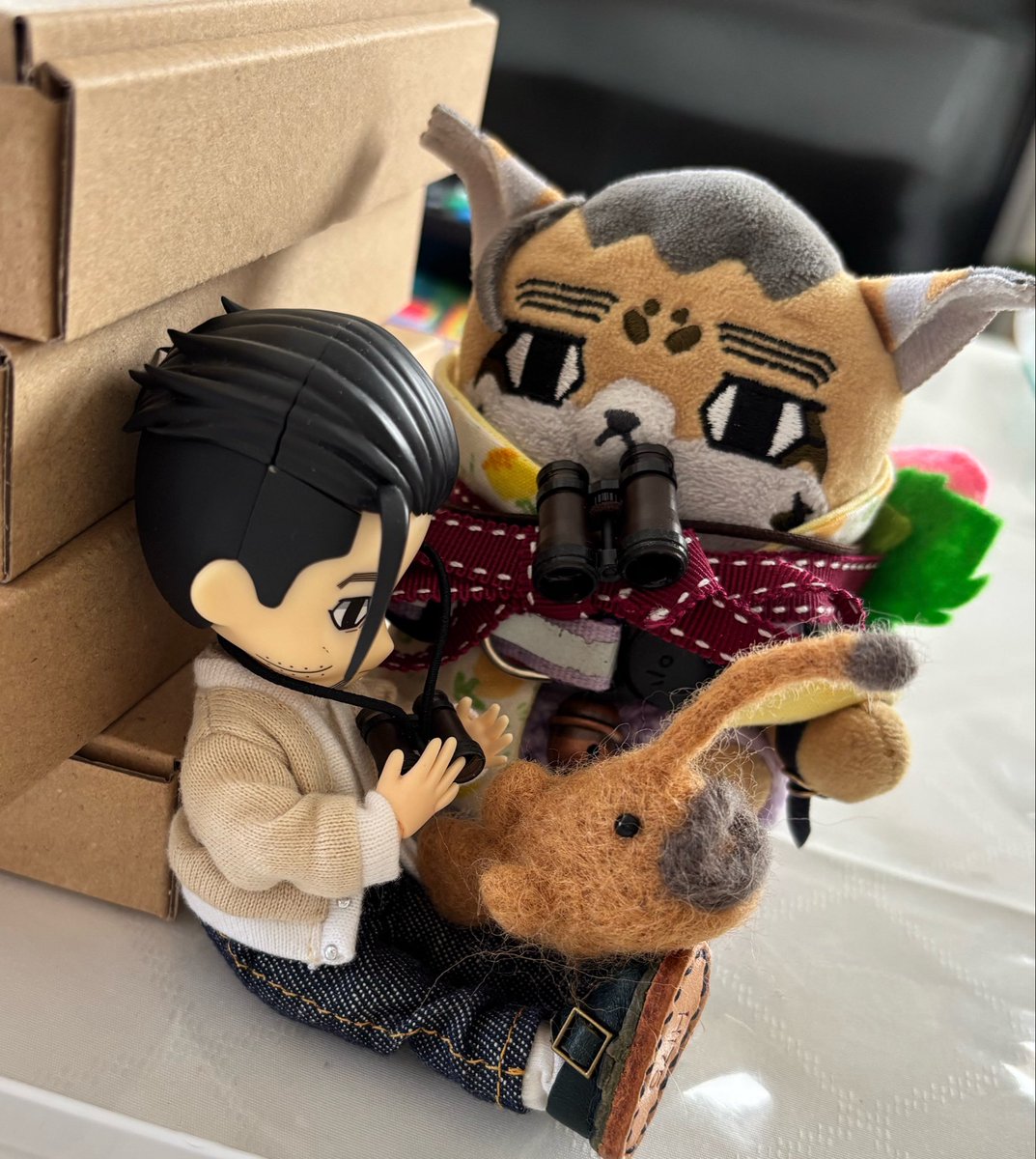 由行藤野@リハと治療中🧵🧶 tweet media