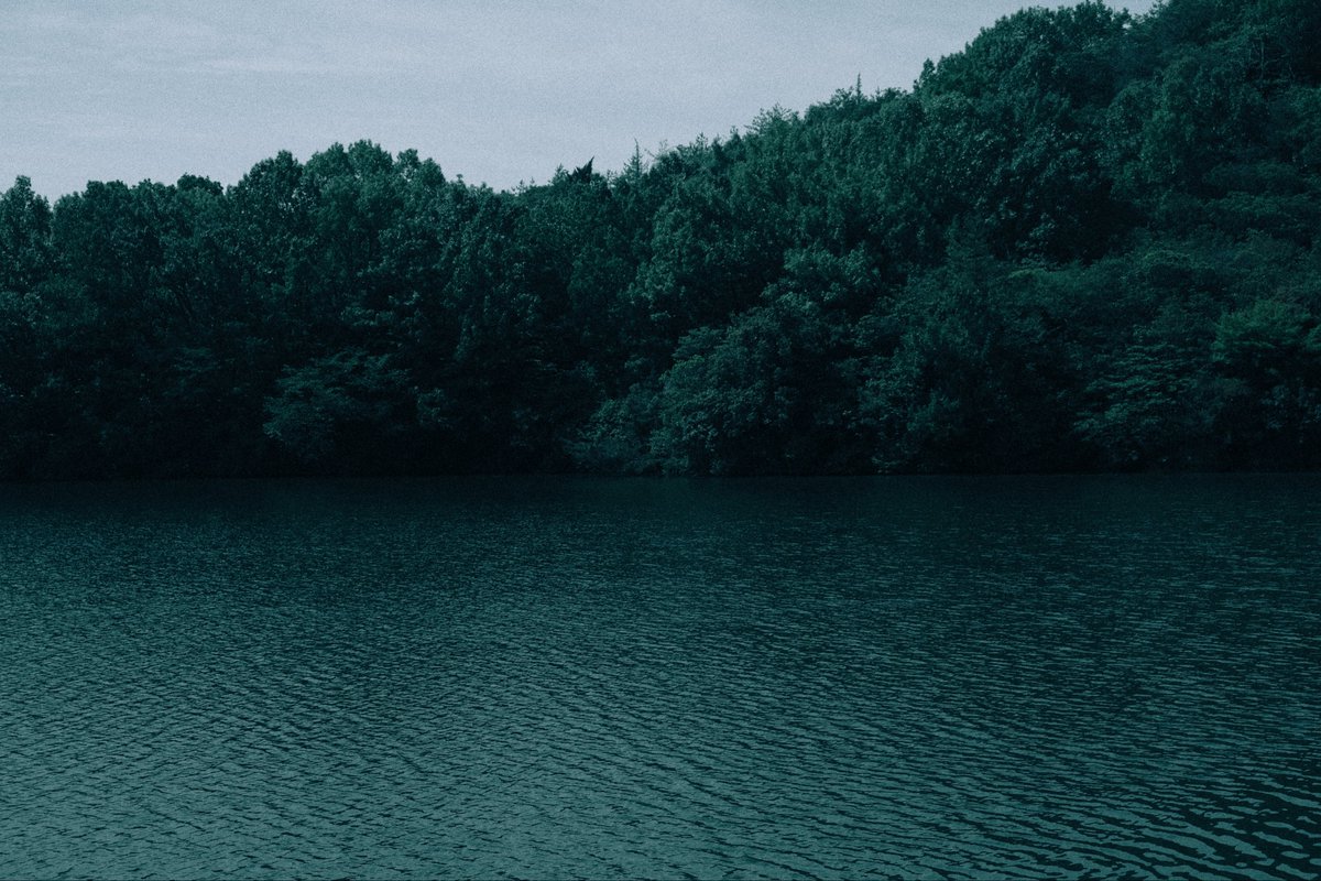 ぼんやり tweet media