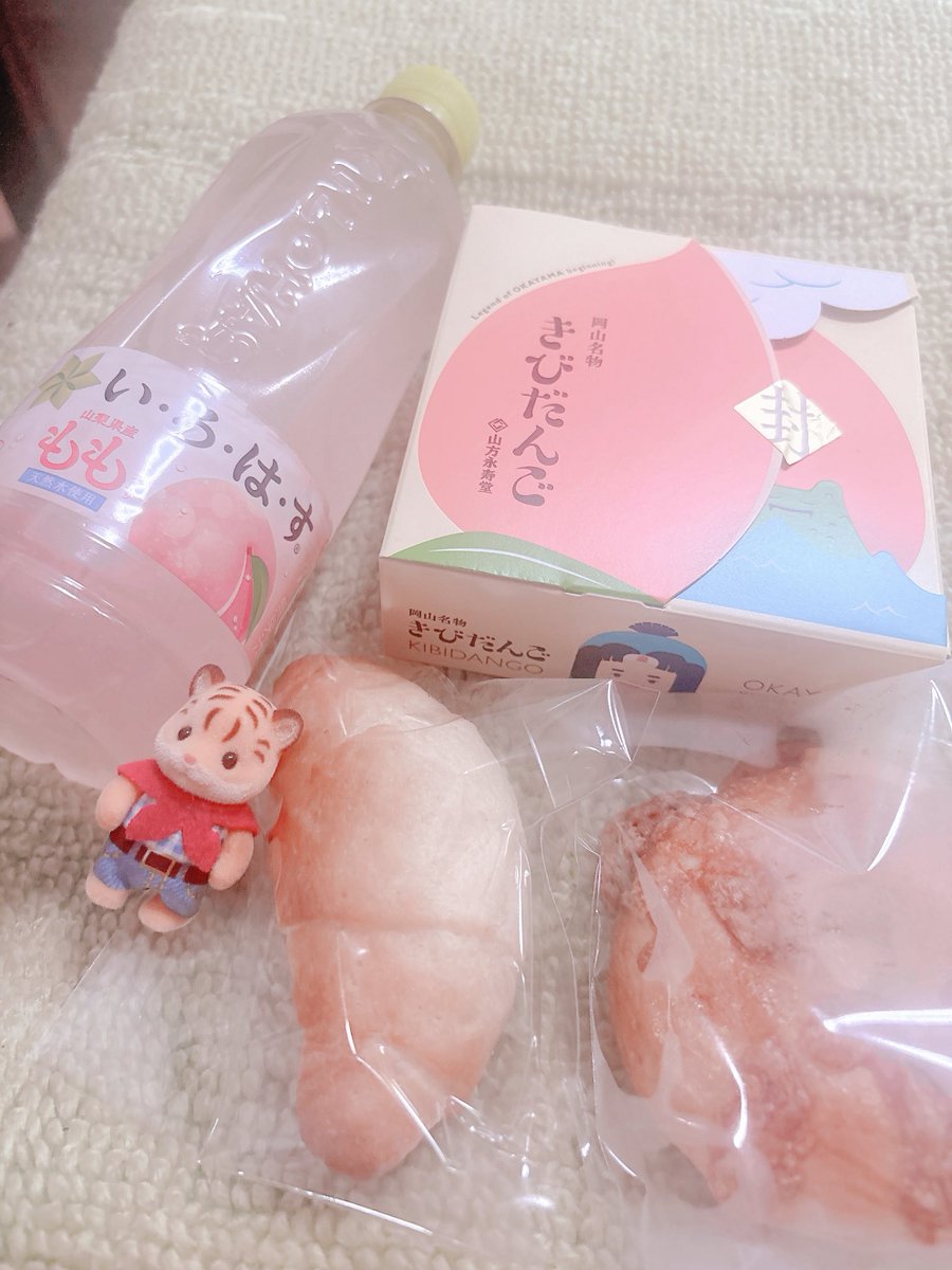 琴鈴 tweet media
