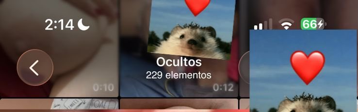 Curvy Bi tweet media