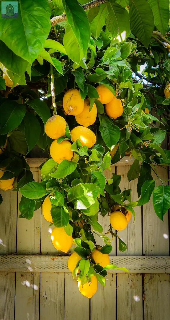 Tanyarl 💚 tweet media