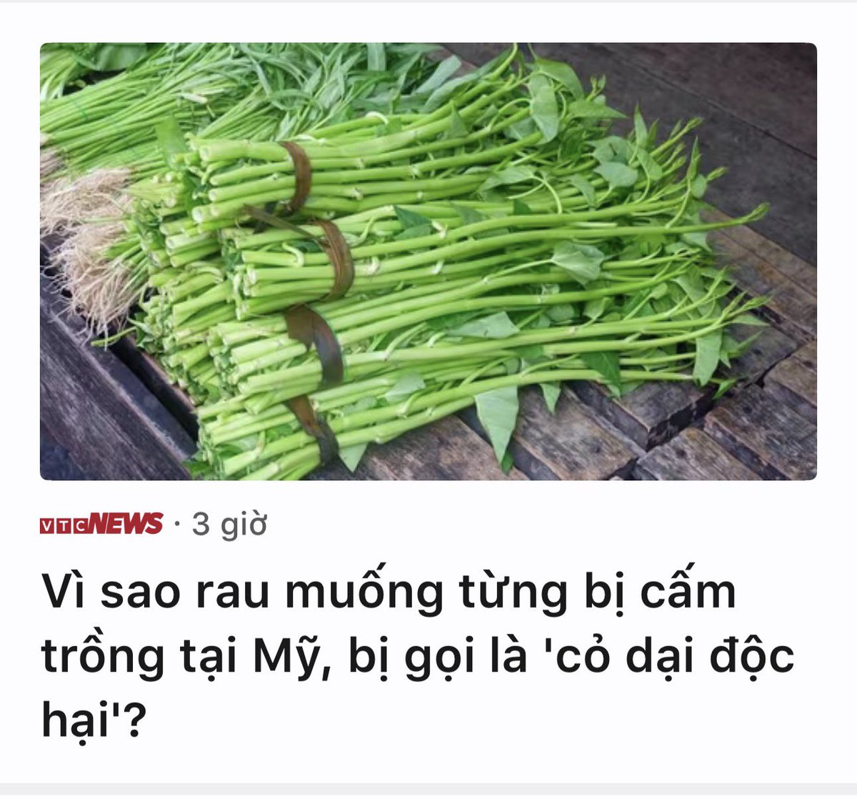 ĐọcBáođảng tweet media