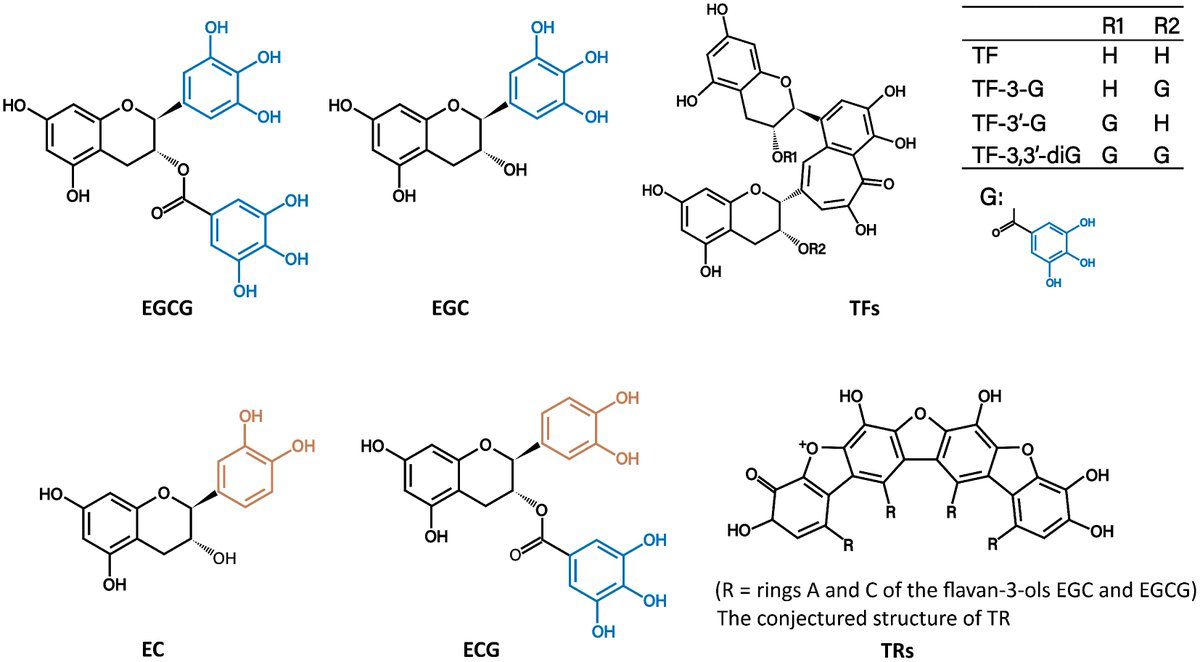 MaximumAcademic's tweet image. #BPR
Review confirms tea (especially green) prevents heart disease, obesity &amp;amp; diabetes. Black tea also beneficial. Avoid sugary bottled teas.
@HortiPlant #Tea #HealthBenefits
Details: maxapress.com/article/doi/10…