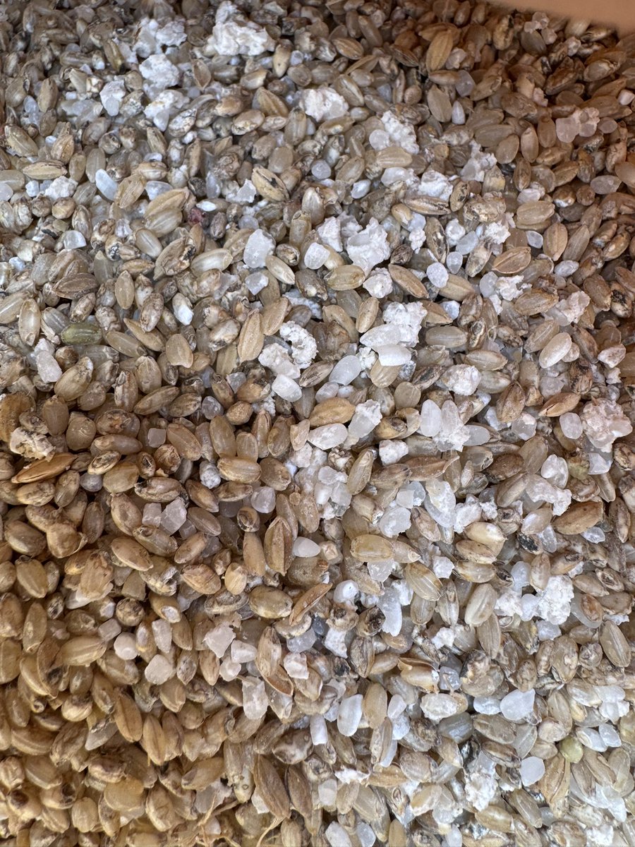 ランドリーアシスト　アグリアシスト　コイン精米所 tweet media