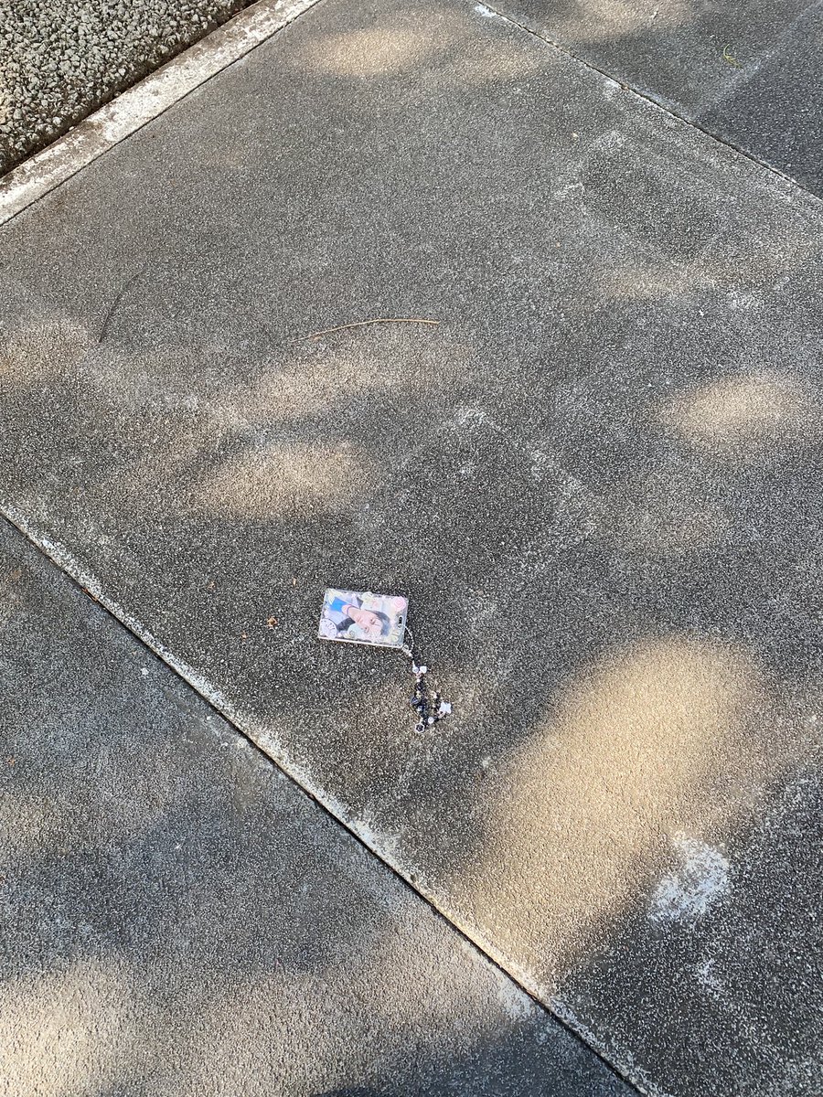 ¨*•. 𝚍𝚘𝚖𝚒𝚎✿ tweet media