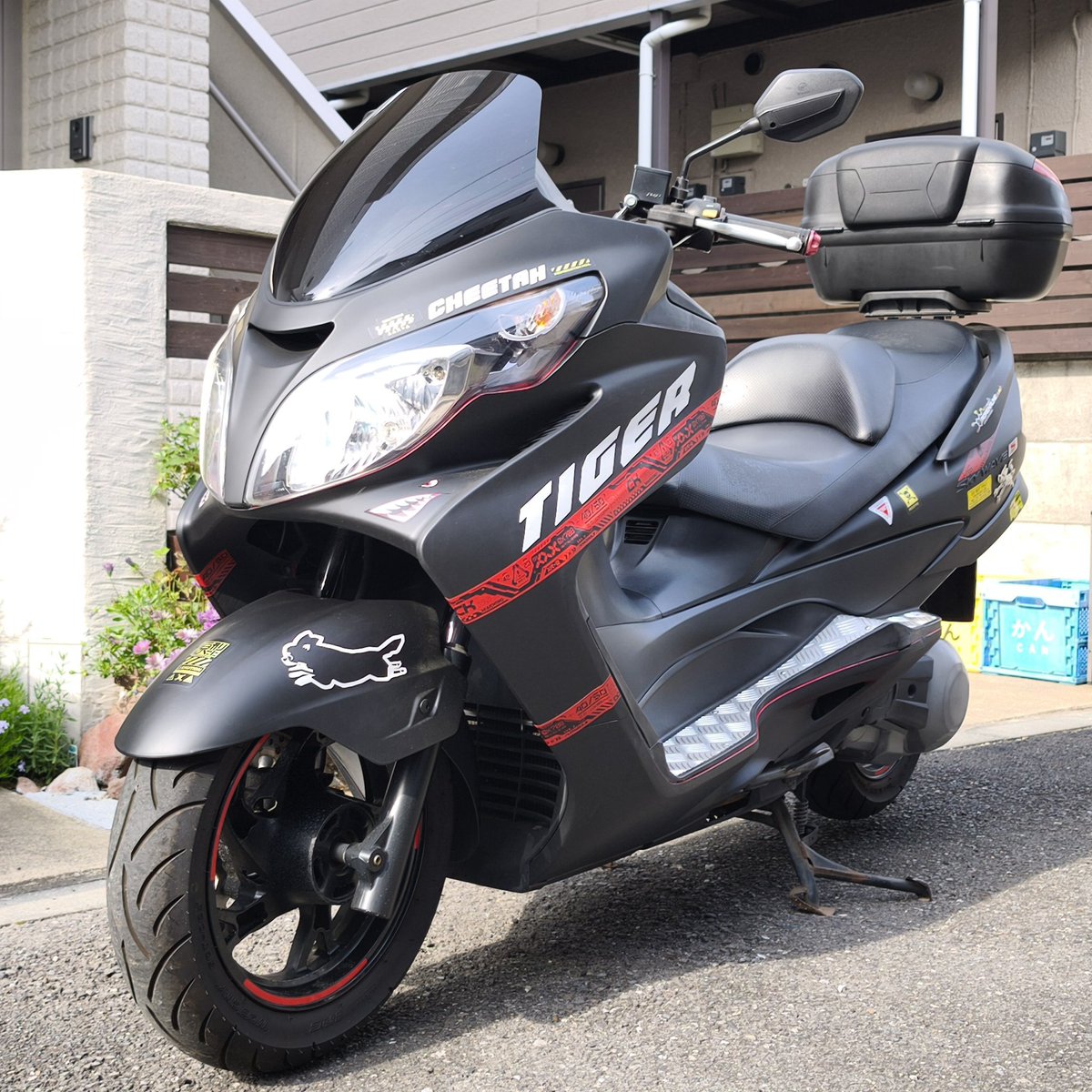 chitaDays's tweet photo. もう20年乗ってるスカブくん
カラーチェンジ
智大も空河も大河の名前入りです。
#スカイウェイブ #skywave
250S 2006年製 https://t.co/sfe2SVEUWm
