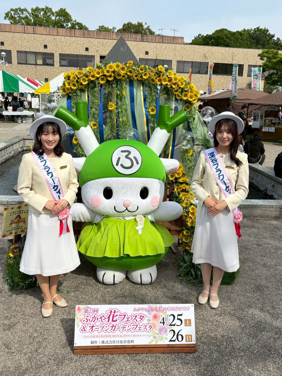 ふっかちゃん tweet media