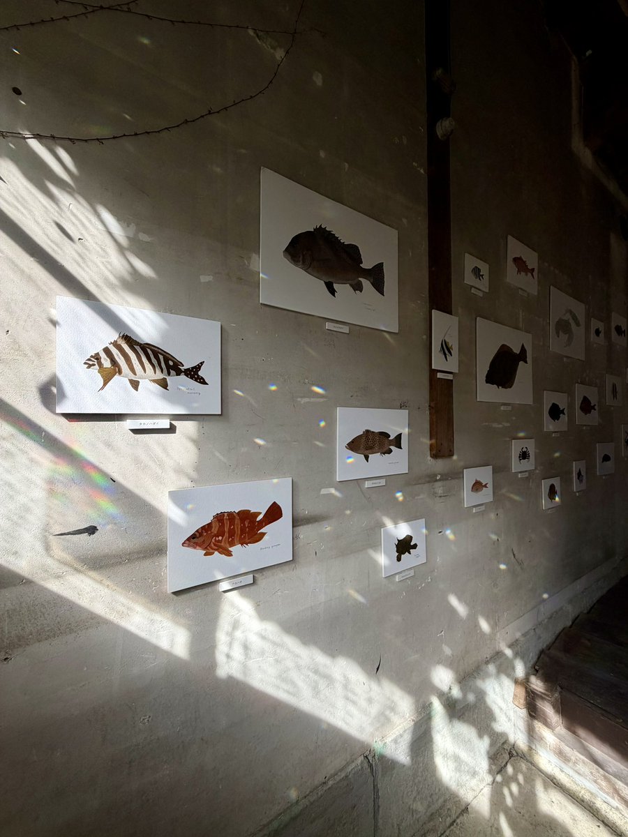 パンちゃん tweet media