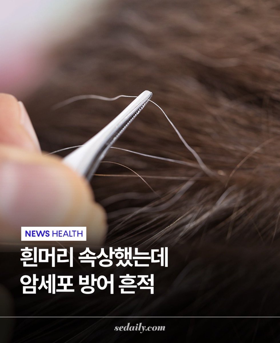 김티거 tweet media