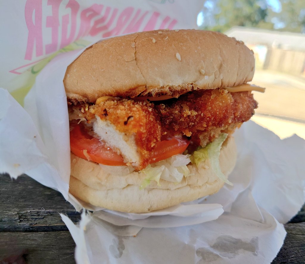 DogAndDoggo's tweet photo. 2026, 24 Apr-
Stopped at the skate park for lunch.

Oh my god, this schnitzel burger was amazing. https://t.co/q119ZcCyqP