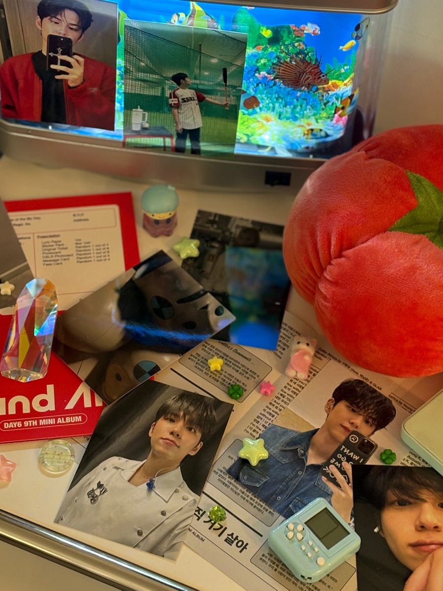 2026 데이식스 원필 생일카페 tweet media