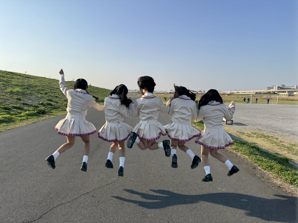 sasanqua(船橋) tweet media