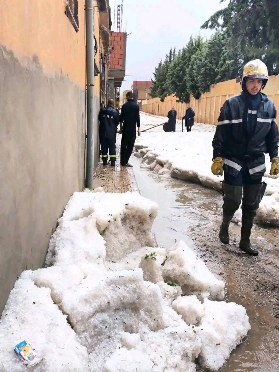 Arab_Storms's tweet image. الجزائر 🇩🇿 🚨
تعرضت ولاية البيض لموجة برد (حبّات برد) شديدة، تسببت في أضرار واسعة بالمحاصيل والممتلكات وسط حالة صدمة بين السكان.

🌧️ التقارير تشير إلى تساقط كثيف لحبات البرد بأحجام كبيرة، ما أدى إلى تلف مساحات زراعية وخسائر للفلاحين.

#Algeria #Hail #Weather #ExtremeWeather