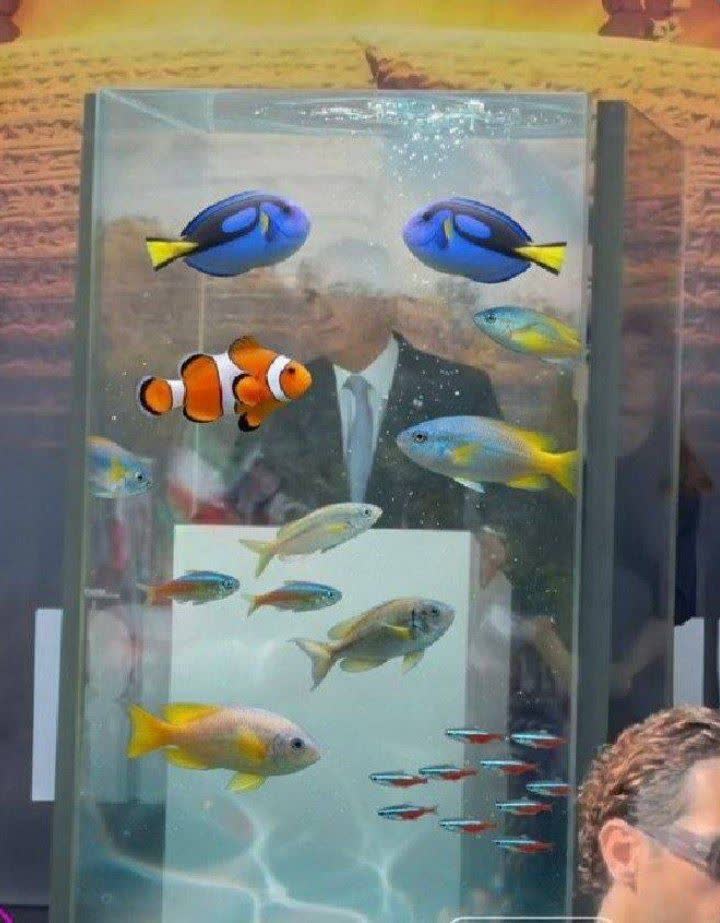 ماهی لجن خوار در تصویر را پیدا کنید😂😂😂