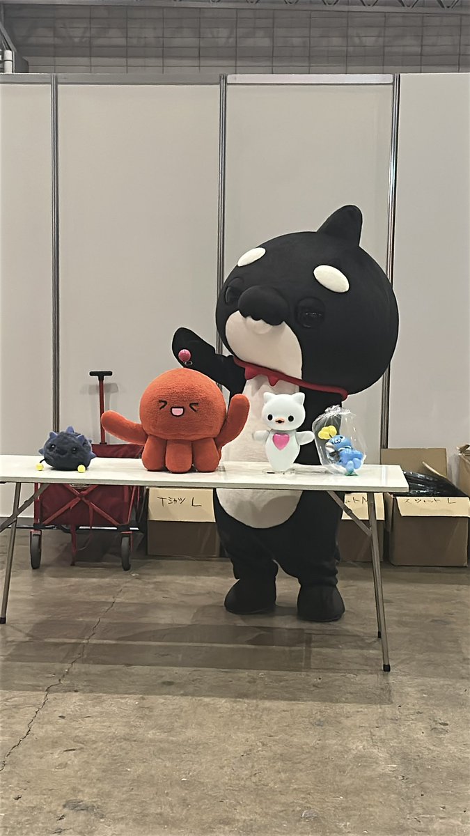 ⭐︎404⭐︎ tweet media