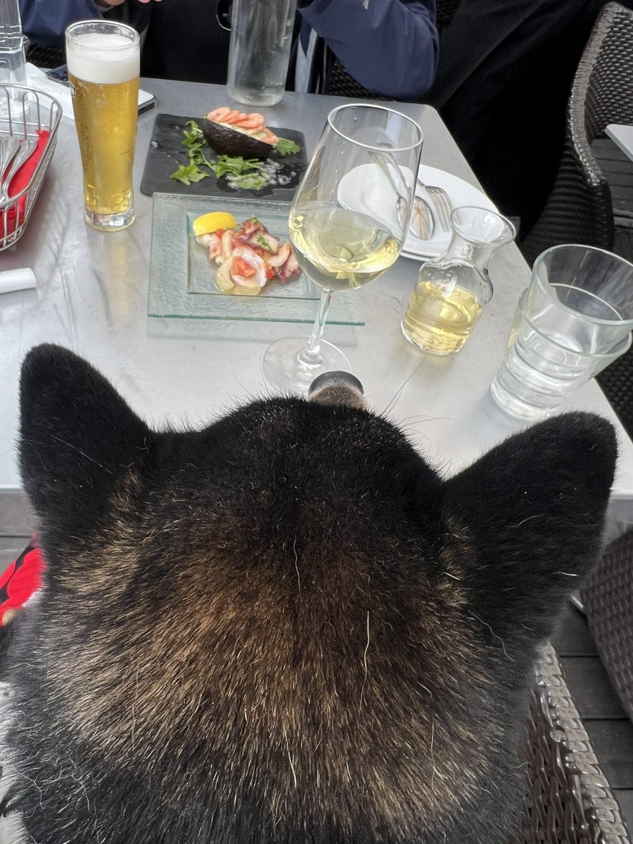 tadashiimachic5's tweet image. 自由が丘で昼飲みしてきた🥂

#昼飲み
#marimekko