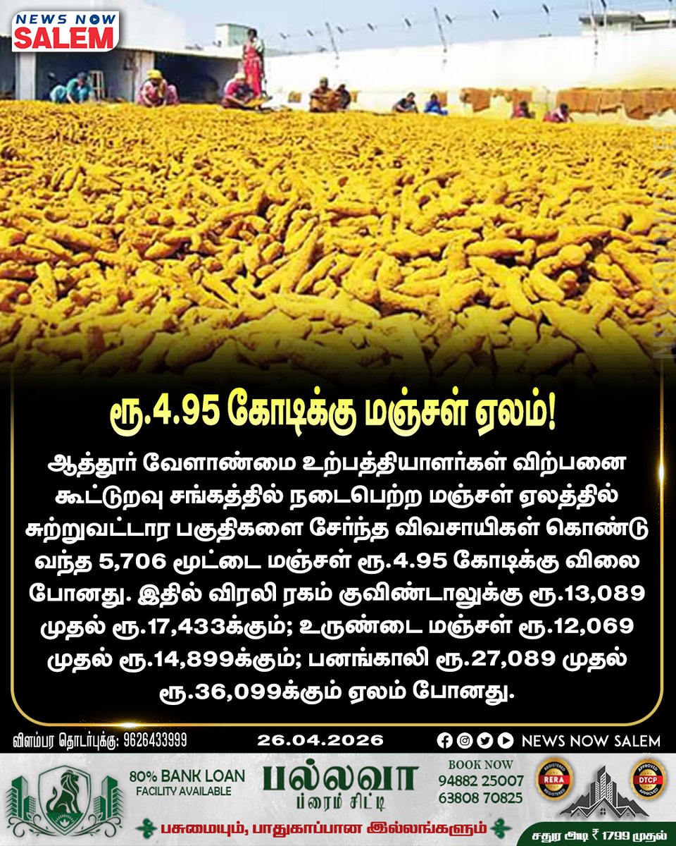 newsnowsalemnns's tweet image. ரூ.4.95 கோடிக்கு மஞ்சள் ஏலம்!  #turmeric #bussines #salemnews #salemupdates #newsnowsalem