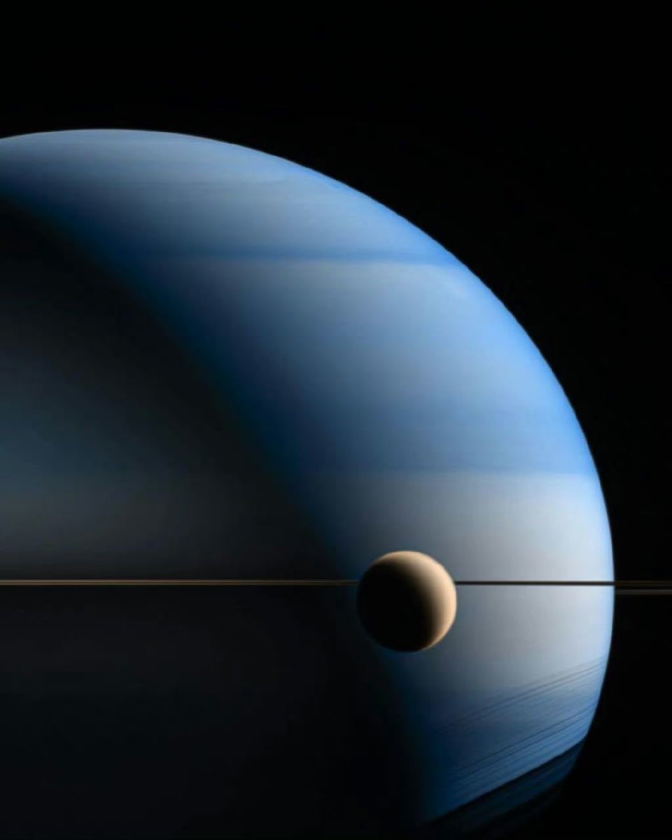 織本左_デザフェスF311 tweet media