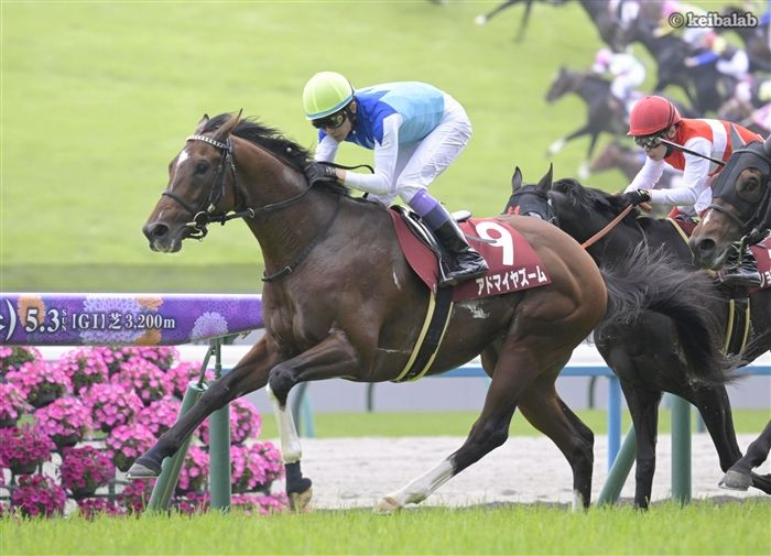 競馬ラボ tweet media