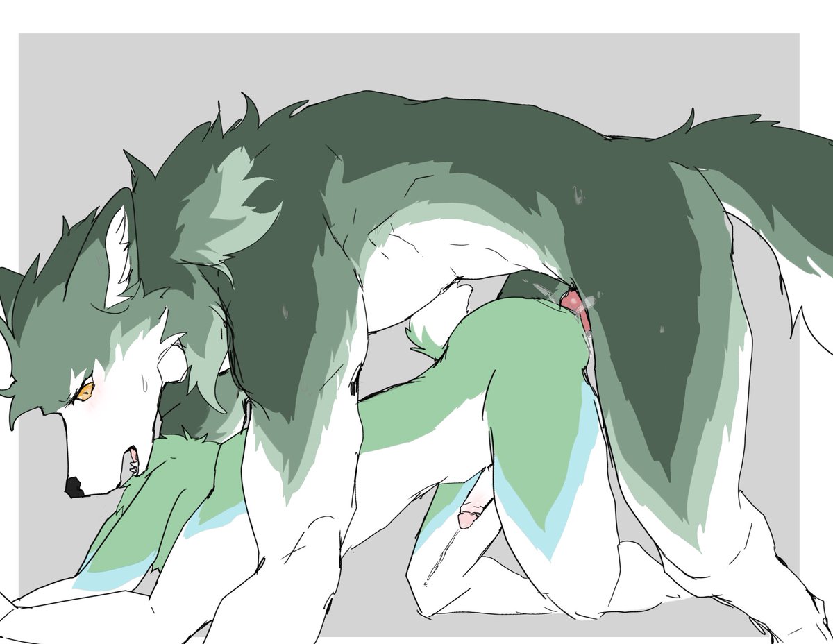 骏獬玄鱼🦀🐚 tweet media