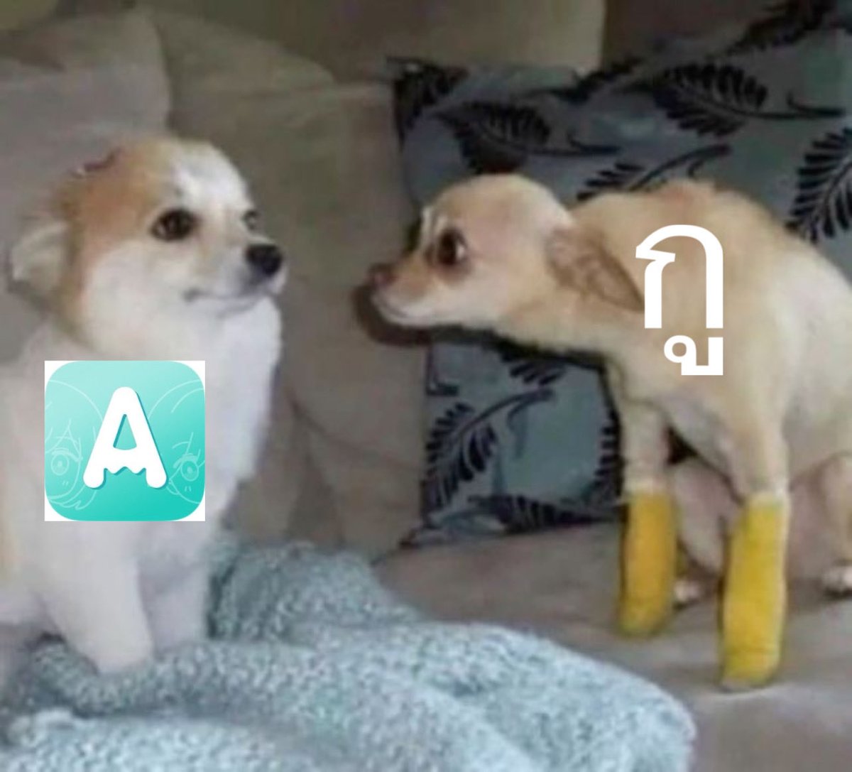 เขื่อนเอง tweet media