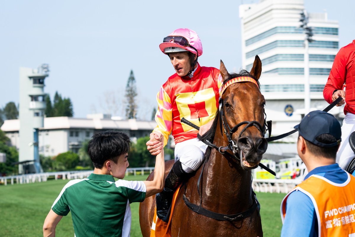 HKJC_Racing's tweet photo. You're a star, My Wish! ✨

#FWDChampionsDay | #LoveRacing | #HKracing https://t.co/ZZmhZXwGB0