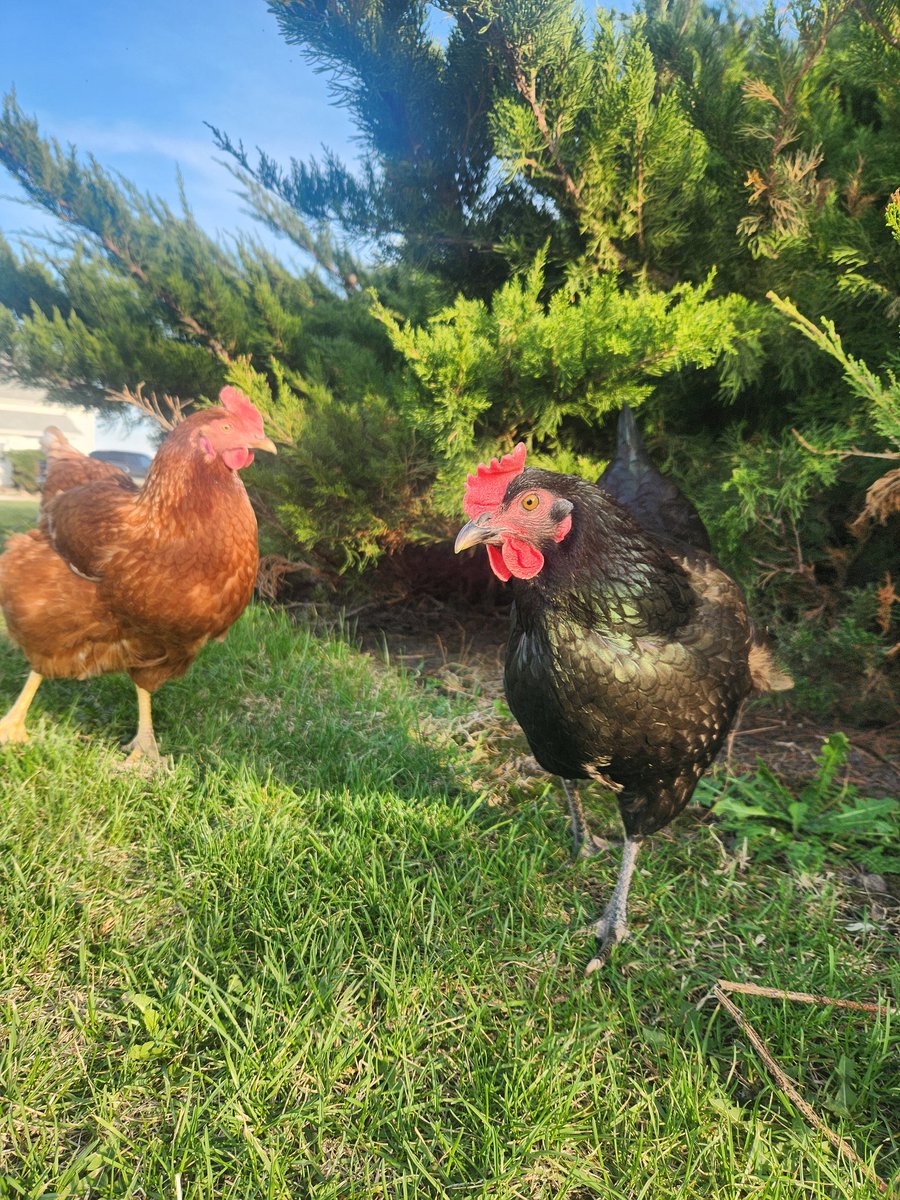 𝗽𝗮𝗿𝗸𝗲𝗿 .ᐟ tweet media