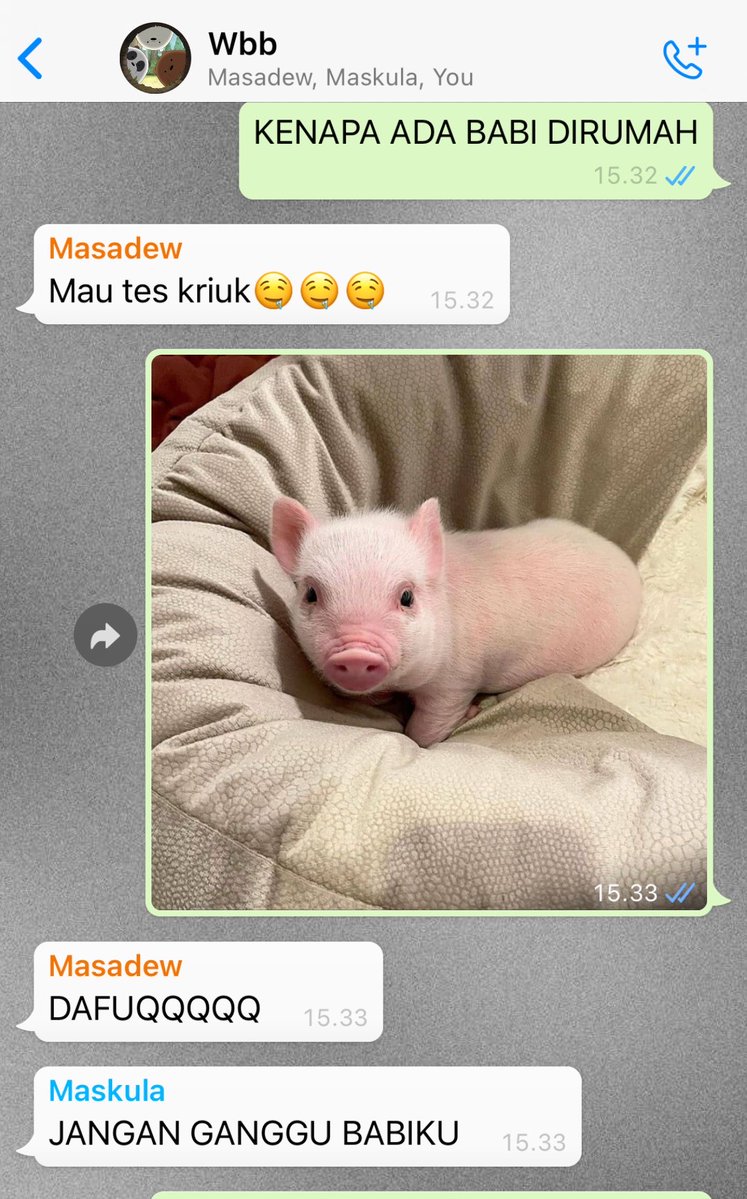 Mikki CF22 H-09🐟 tweet media