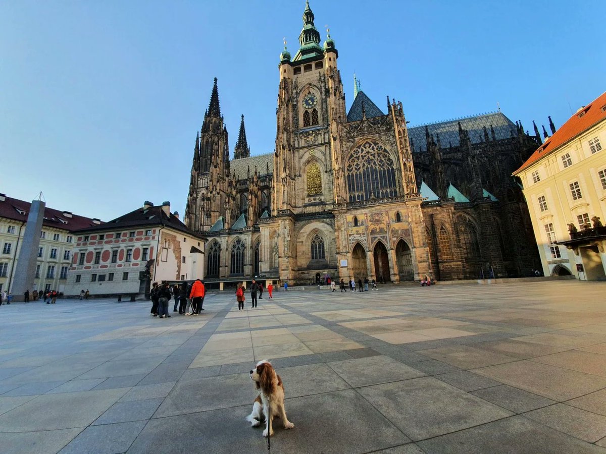 RJonTourUK's tweet image. Prague is a wonderful city with many things to see, including iconic, must-see tourist attractions. Top places to visit include Old Town Square, Prague Castle, St Vitus Cathedral and the Charles Bridge. 

rjontour.com/things-to-do-i… #prague #travel #CzechRepublic