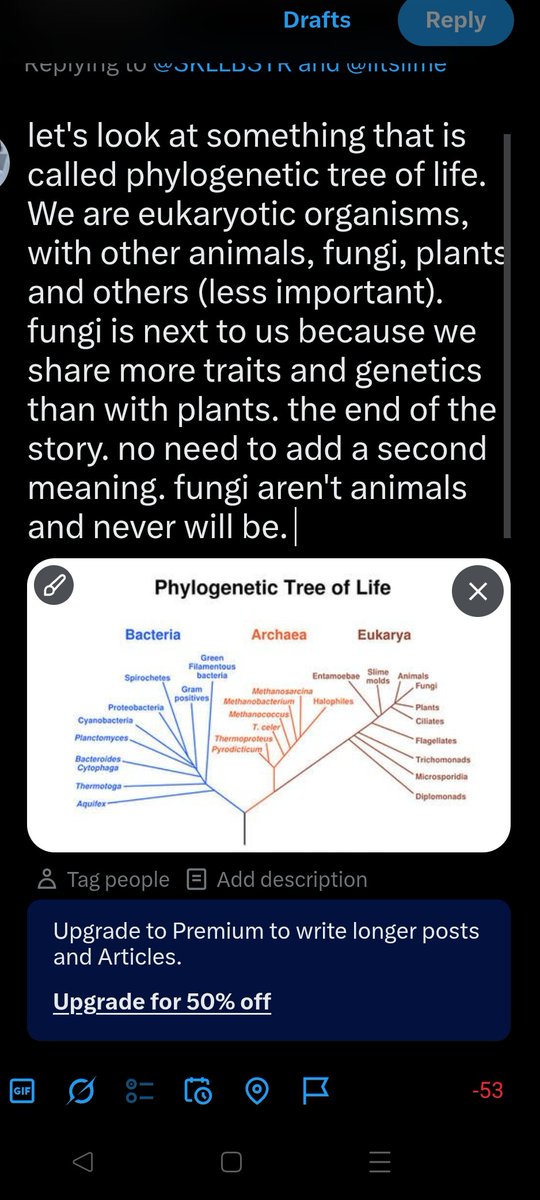 ernest july 🐌 santos defender tweet media