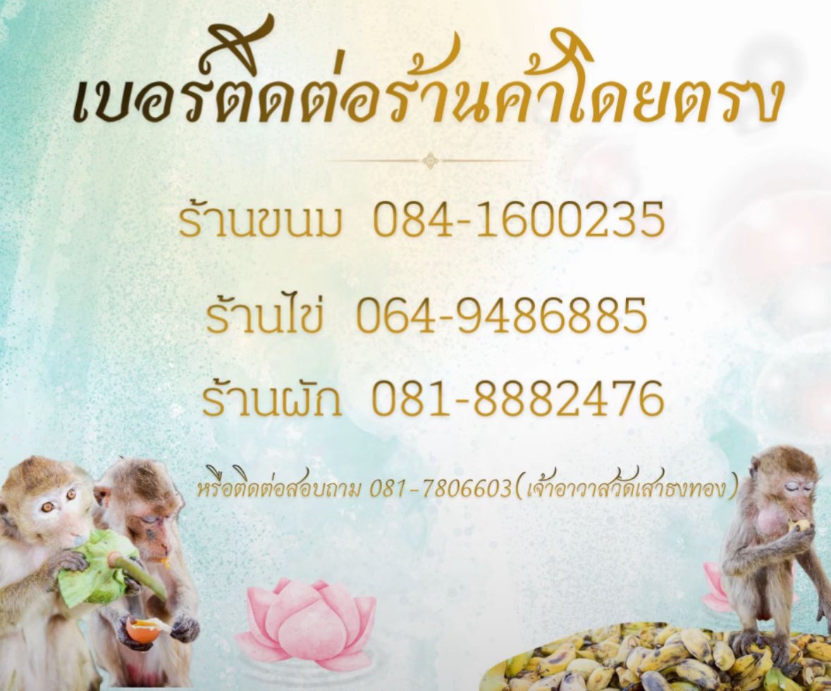 ❦ MonkéMami ❦ 🦍 tweet media