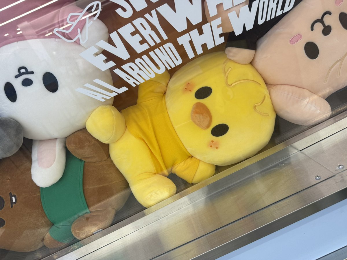 와 얘네 너무 멍충하게 생겨따 바부들아