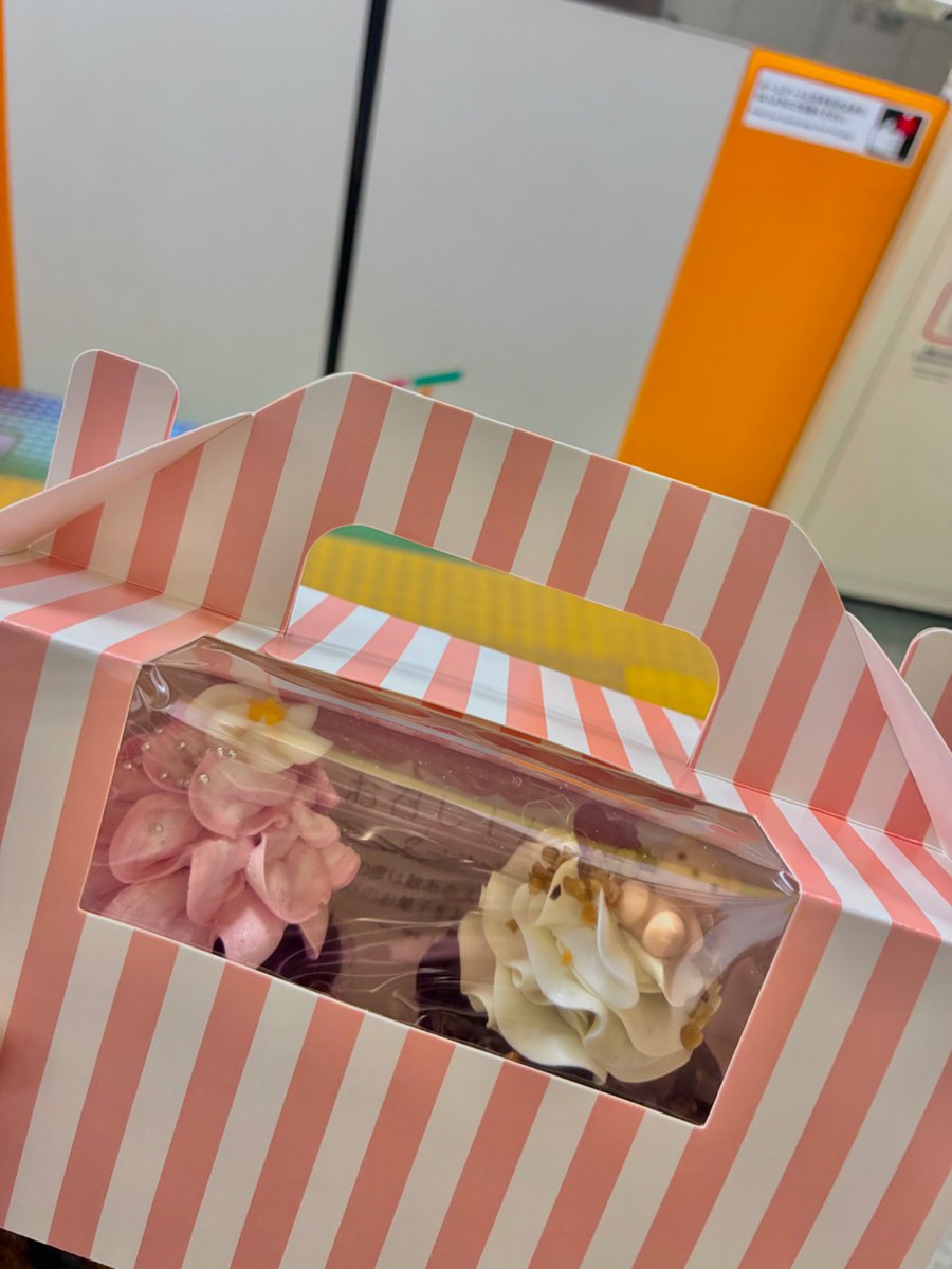 pieris0554's tweet photo. ちびだるまたち、お花見たのしかったね🫶
大好きなカップケーキを買って帰ったら、もう先に食べられてた😶 https://t.co/LFu18DELa5