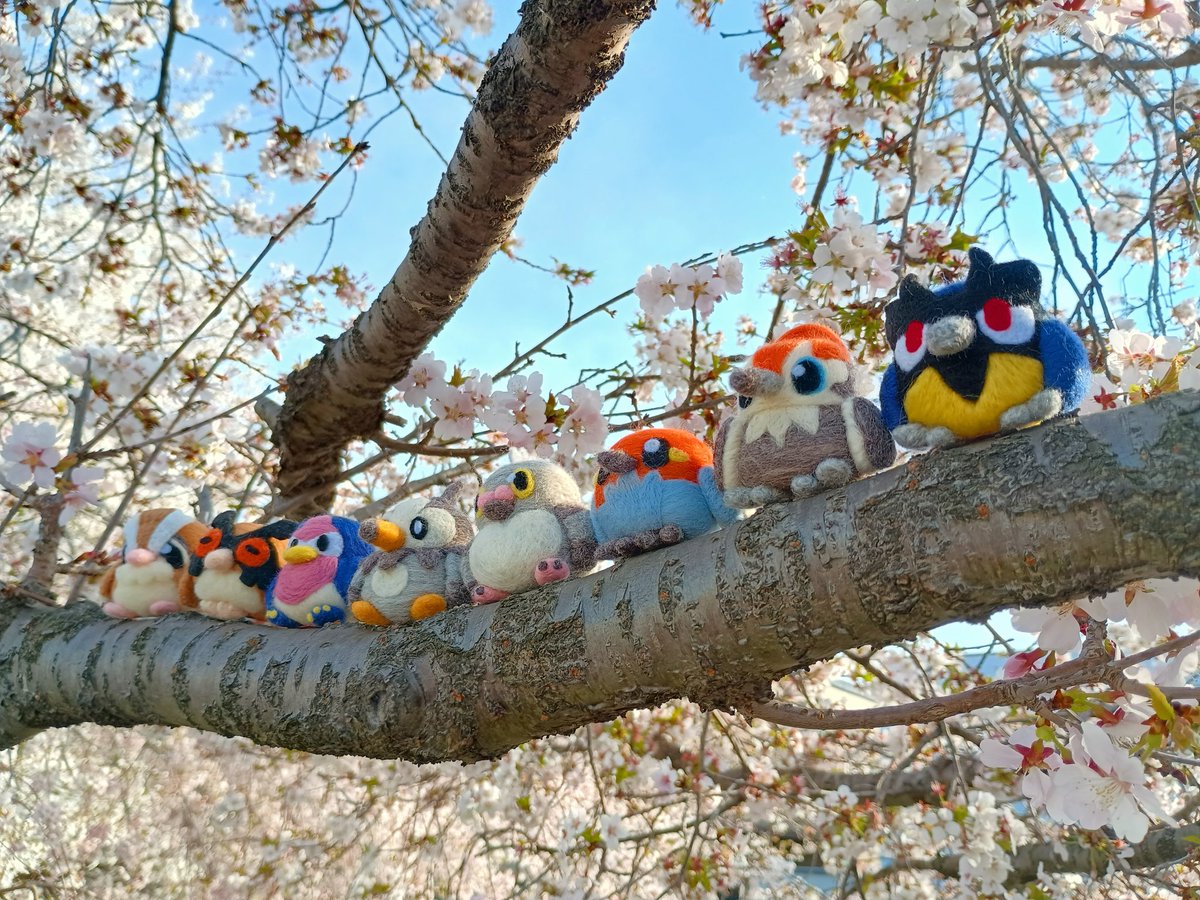 せちりあ tweet media