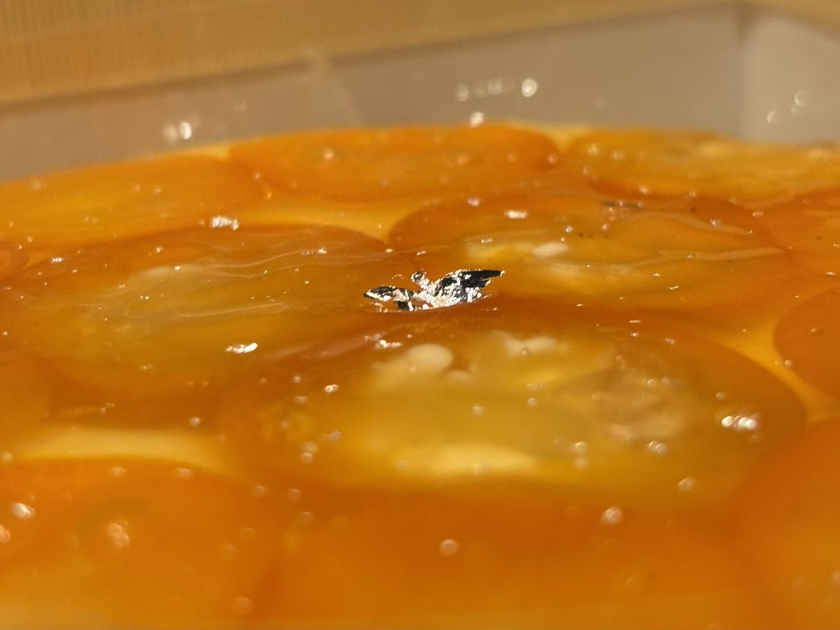 Kenta🇨🇦デザート tweet media