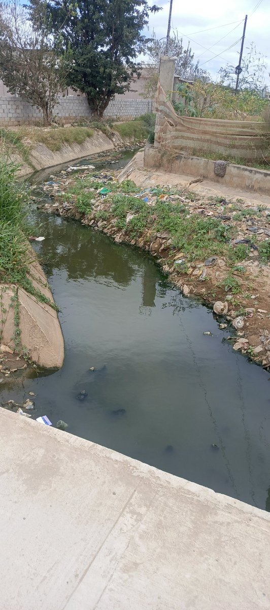 Lwando Mweetwa tweet media