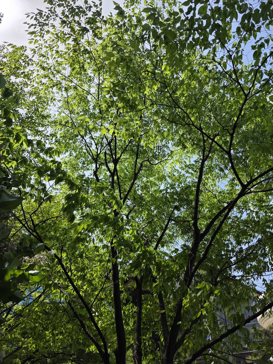 ddong1416's tweet photo. https://t.co/hJguTTNt6g